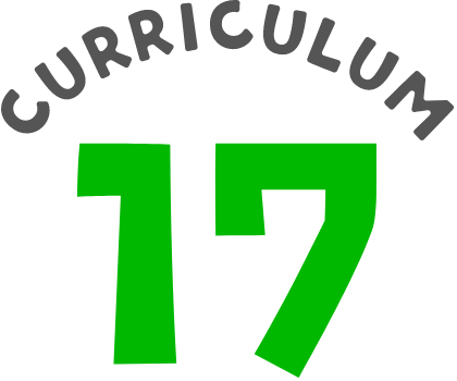 CURRICULUM 17